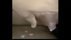 Riproduci Suppura zia scopa con il grande vicino di gumshoe.mp4