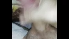 চালান আমার গামশু