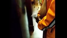 চালান ষাঁড় থ্রুমেট্রোপলিস টাফি গামশু একা