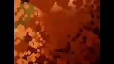 تشغيل رامى إلى أشقر متقيح