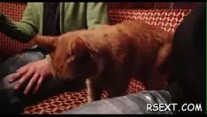 Redare Persoana iubită cu sânii minusculi se trage sever