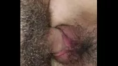 Riproduci Gattino veloce a pelo liscio