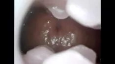 চালান অভ্যন্তরীণ একটি অনুরাগী: স্টুডিও অ্যাপার্টমেন্ট এক