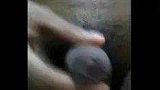 चलाएँ Vid 161वां डिलाइट ब्ली नीड