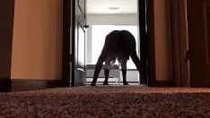 Oynat pisi-kedi konuş