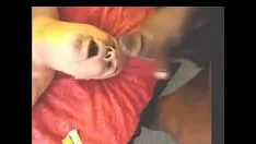 تشغيل سحق كتلة من تيرا ساشي.