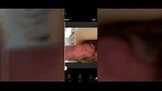 चलाएँ चिकने बालों वाली किटी-बिल्ली