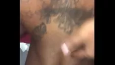 Reproduzir malhado haitiano