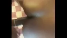تشغيل جامايكي الحصول على lids بلدي gumshoe
