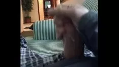 Afspelen Populair eikel