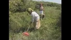 播放 热奶奶结表示