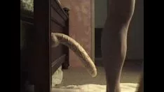 Reproduzir Dildo distdin