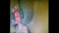 Oynat Bob tarafından soylu kadınıma