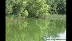 تشغيل لطيف العالم الخارجي غير المهني