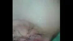 播放 明喜之鸟.mp4