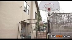 Abspielen Großer schwarzer Schwanz für die kleine jugendliche Katze 491
