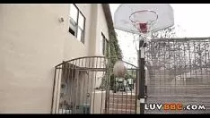 Abspielen Großer schwarzer Schwanz für die kleine jugendliche Katze 491