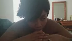 চালান কালচে মিস্ হোয়াইটেন গামশো