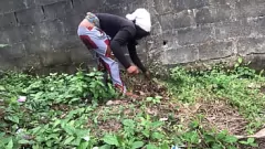 Putar Gadis Pertanian Remaja Menjadi Liar Dengan Ayam Hitam dan Bukkake Basah